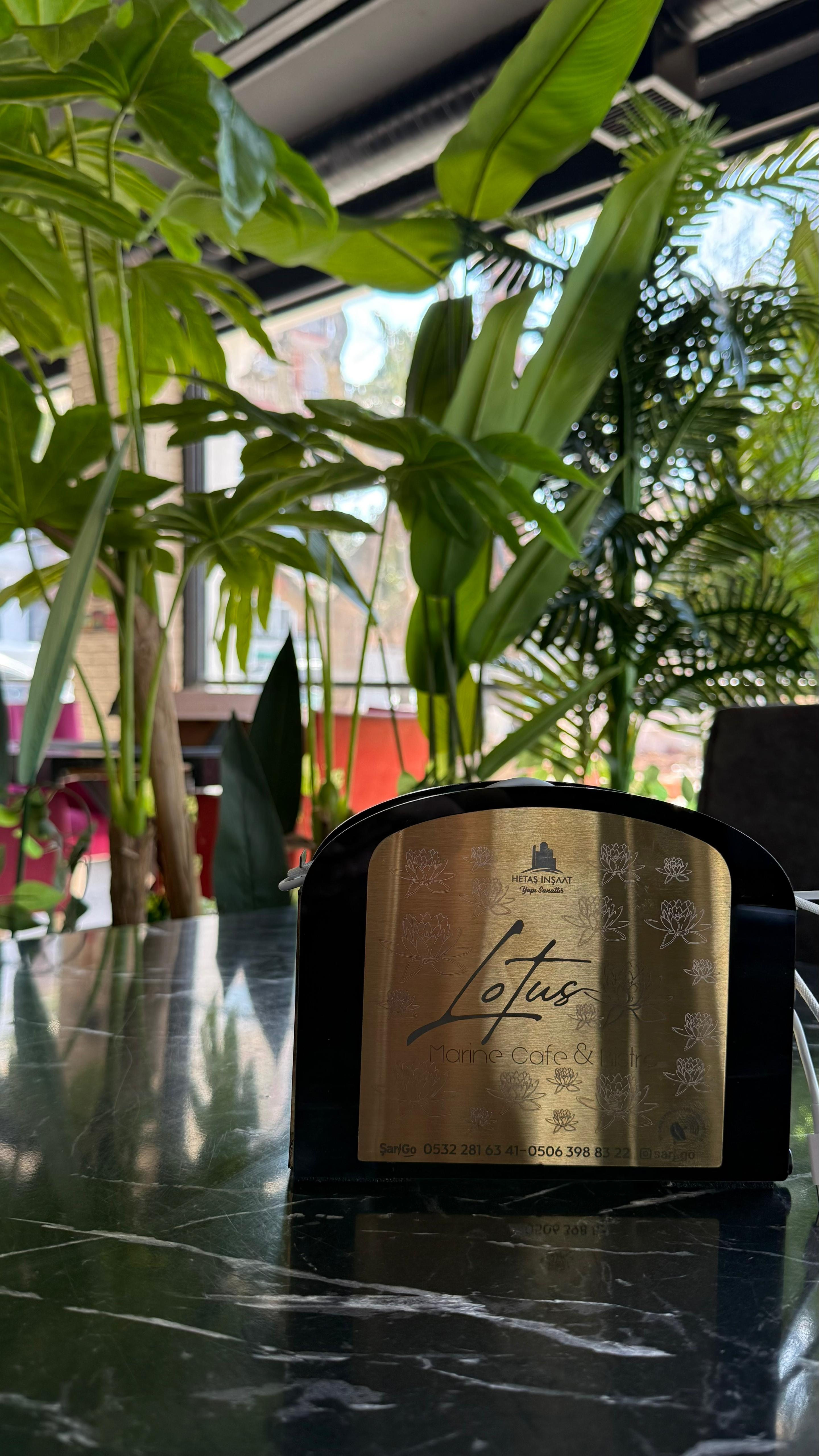 Lotus Cafe — ŞarjGO